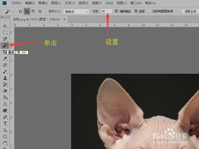 Photoshop 如何创建图像的木刻效果