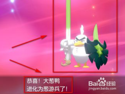 大葱鸭怎么进化