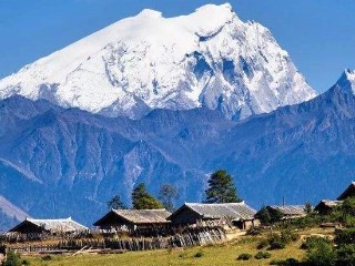 哈巴雪山在哪里