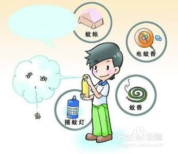 全面认识蚊子，杀灭更有效