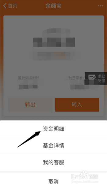 如何在支付宝中查看余额宝的资金明细