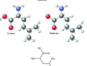 怎么减轻头发落地?