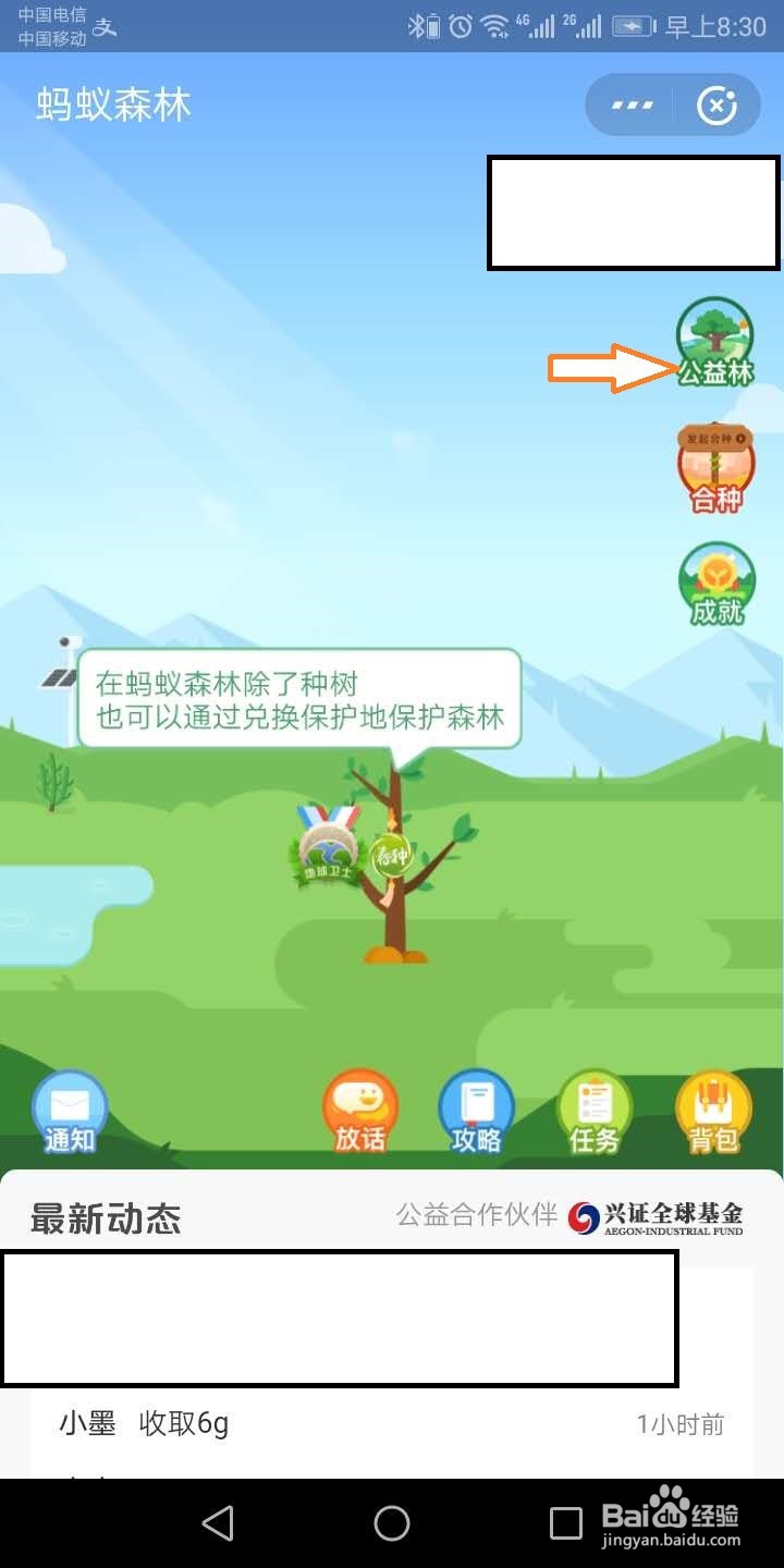 蚂蚁森林怎么给学校浇水