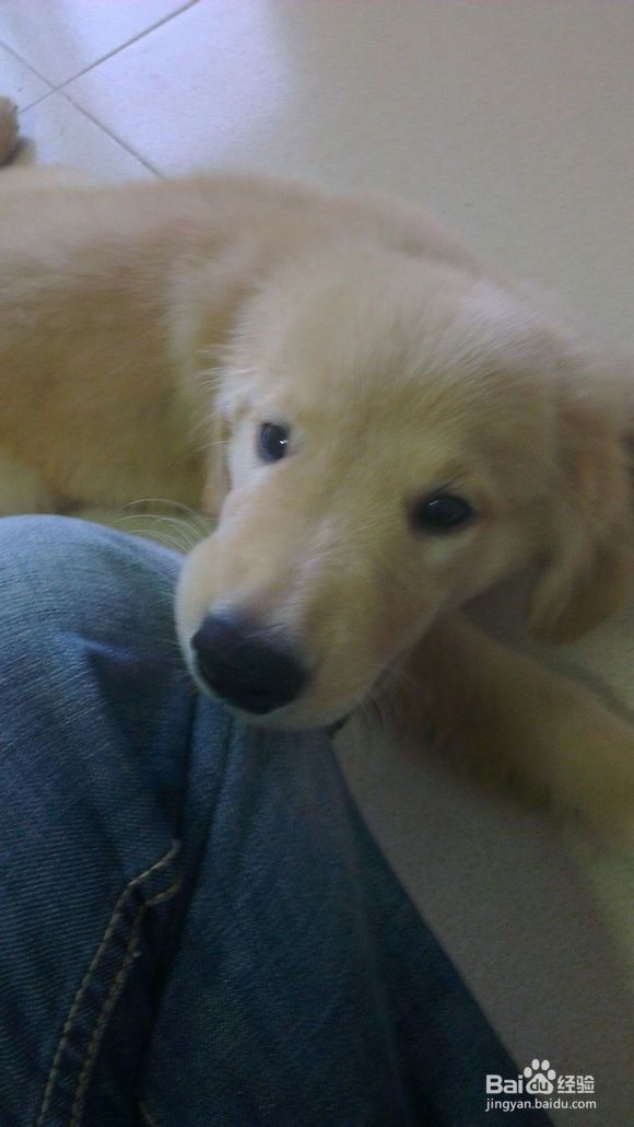 你无可替代的小伙伴。