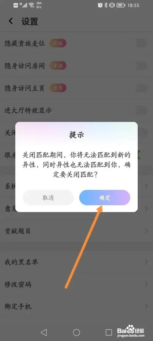 虚拟恋人APP在哪里关闭匹配