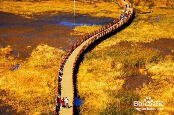 精美泸沽湖，悠悠女儿国，风景美！