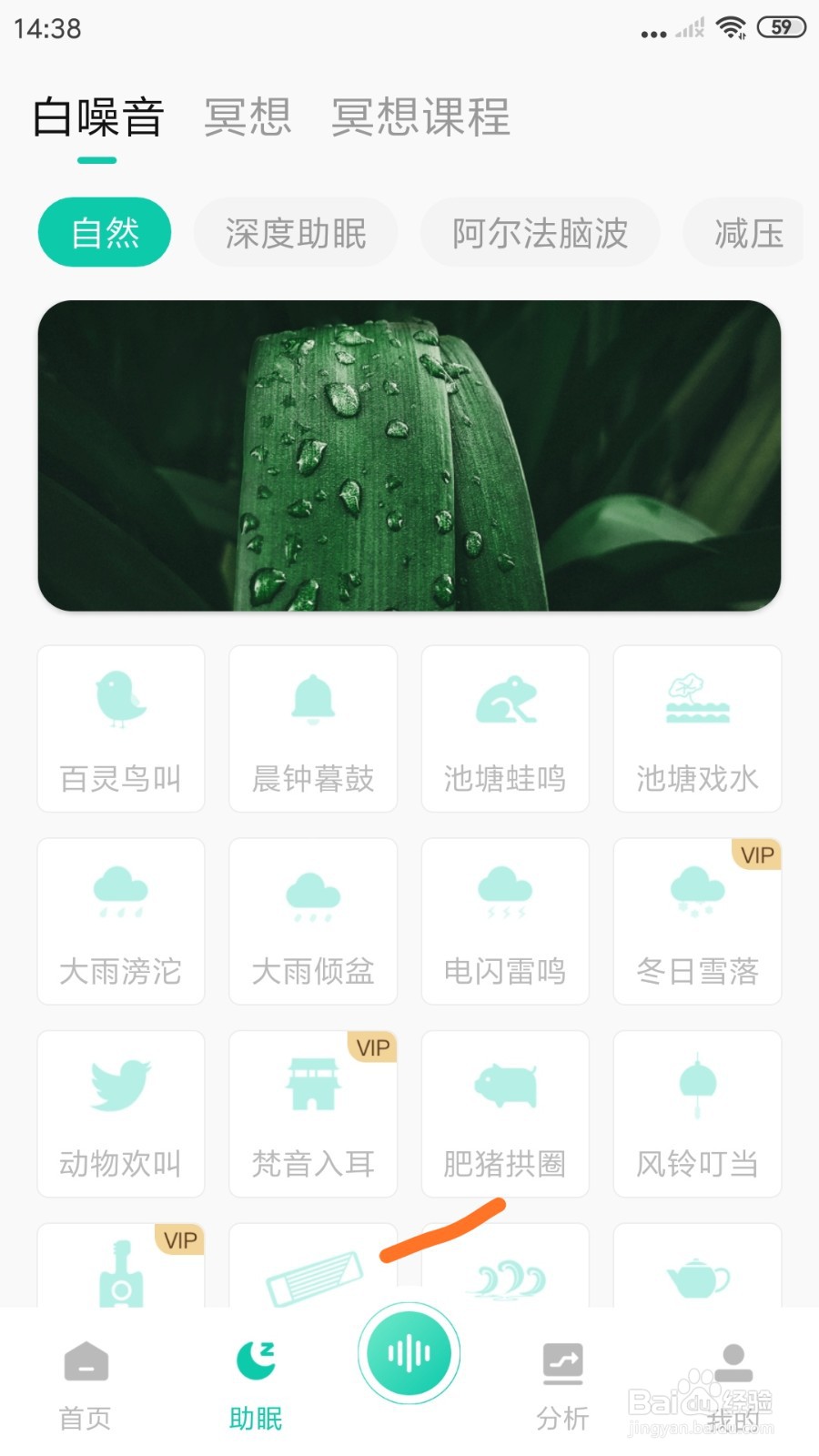 萤火虫睡眠中如何试听肥猪拱圈