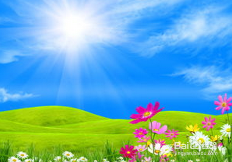 适合孩子在春天做的运动有哪些