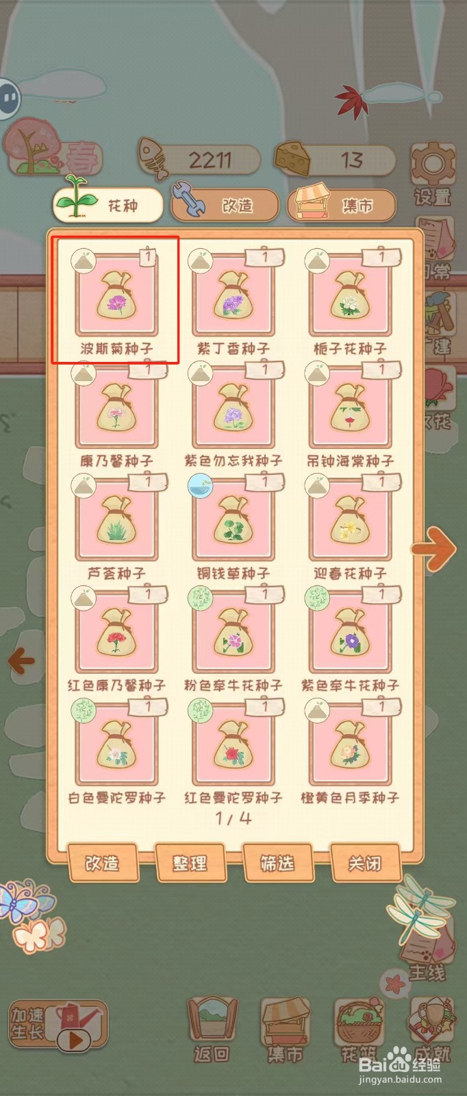 花店物语如何查看波斯菊种子的批量播种