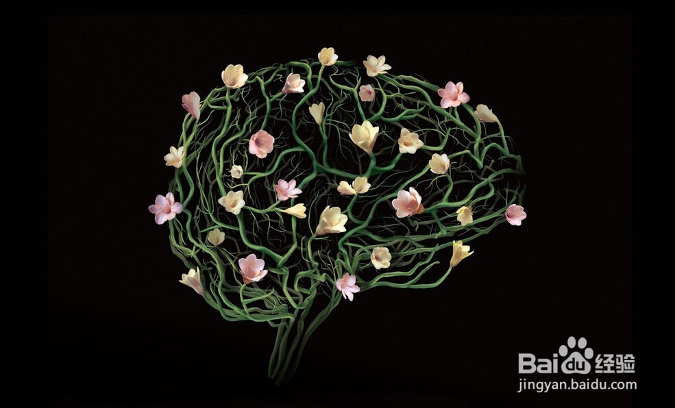 全方位祛除痫灶体系