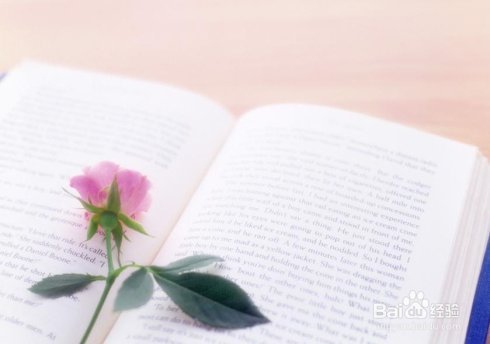 系统交易者的修炼之路