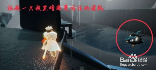 光遇12月10日每日任务怎么完成