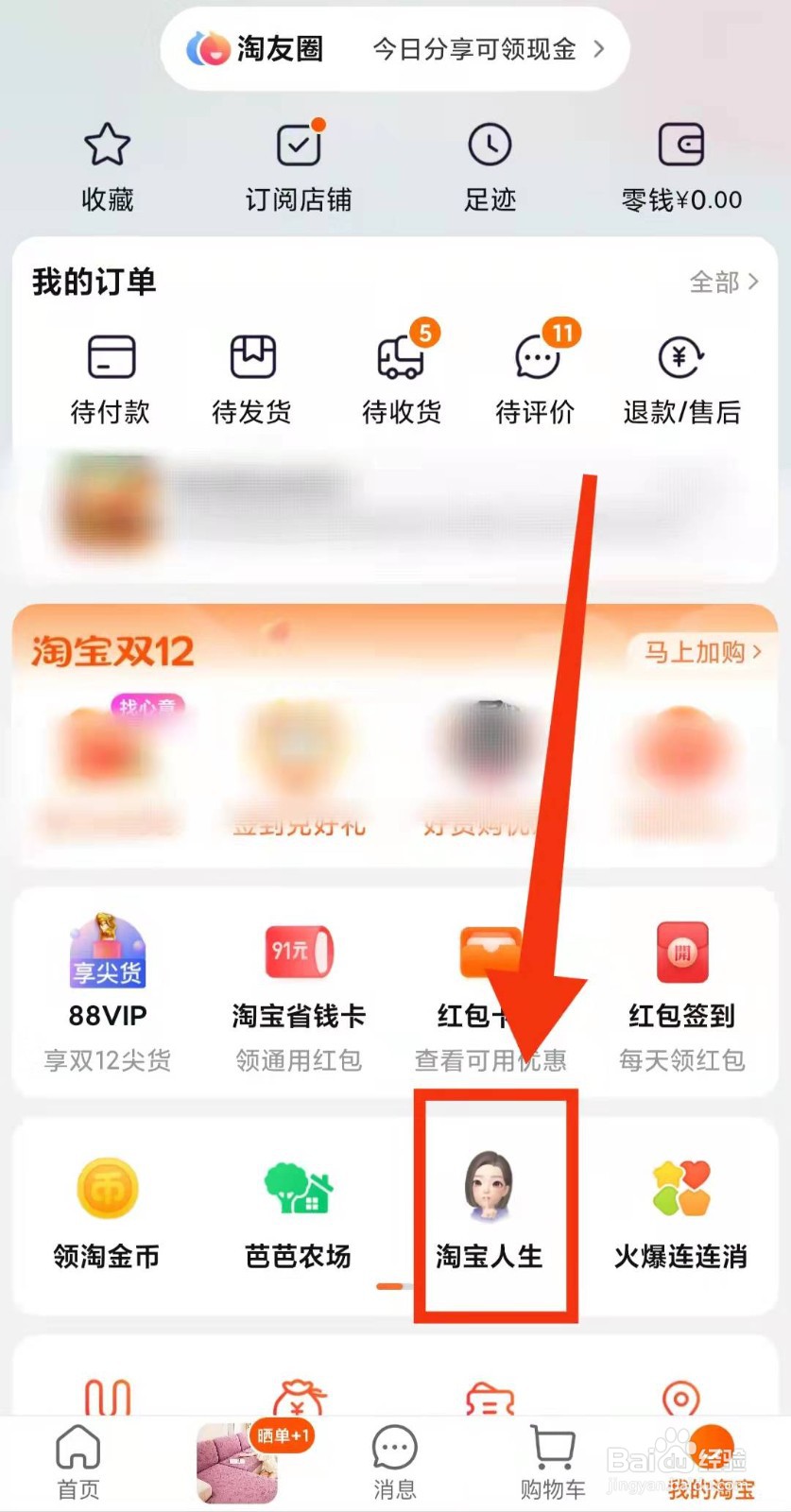 怎样查看淘宝的”淘宝人生的总身价“