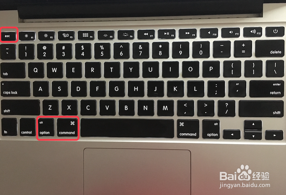 mac如何强制退出程序