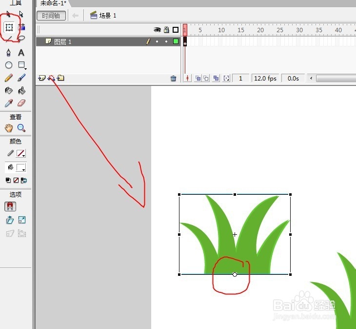flash制作动态小草被风吹动的效果