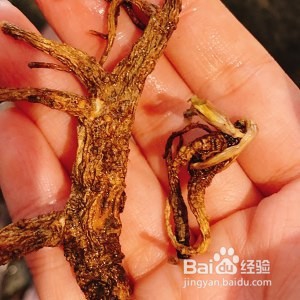 美食汤羹--药膳老母鸡汤