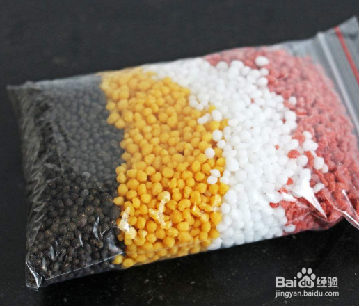 散尾竹室内如何养