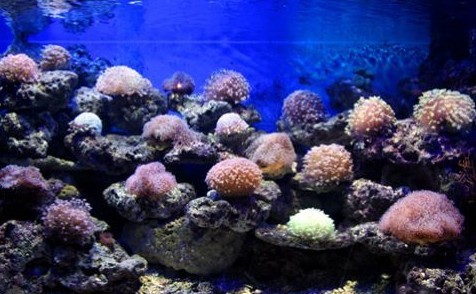 北海海洋之窗旅游经验