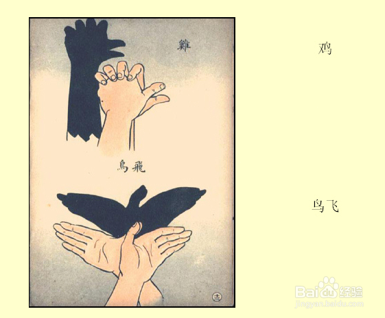 睡前跟孩子一起玩手影游戏吧