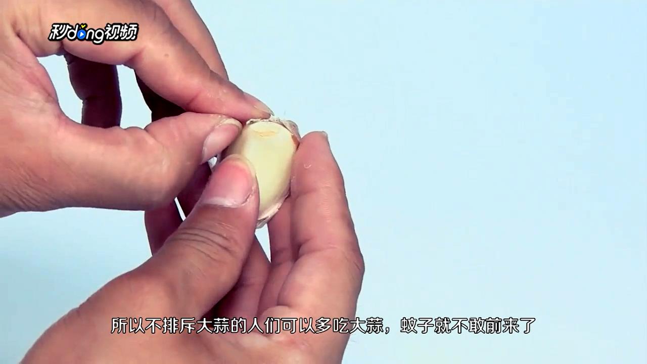 夏天如何预防蚊虫叮咬