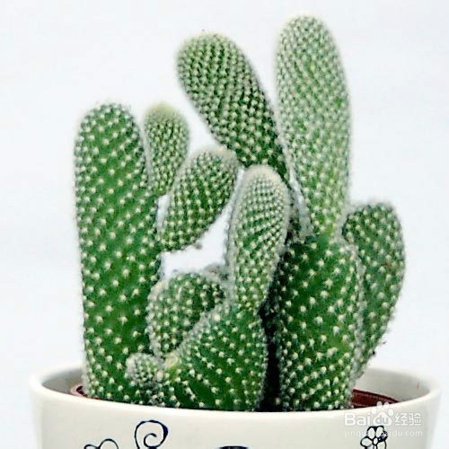 长时间坐在电脑旁边如何减少辐射