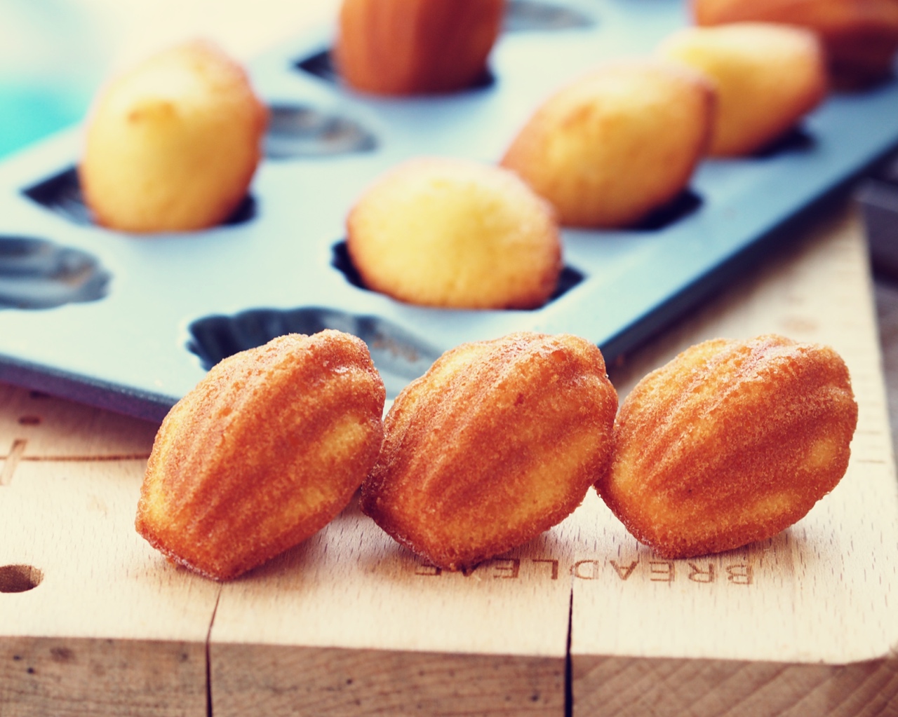 教你做好吃的玛德莲 ，简单好学，get起来