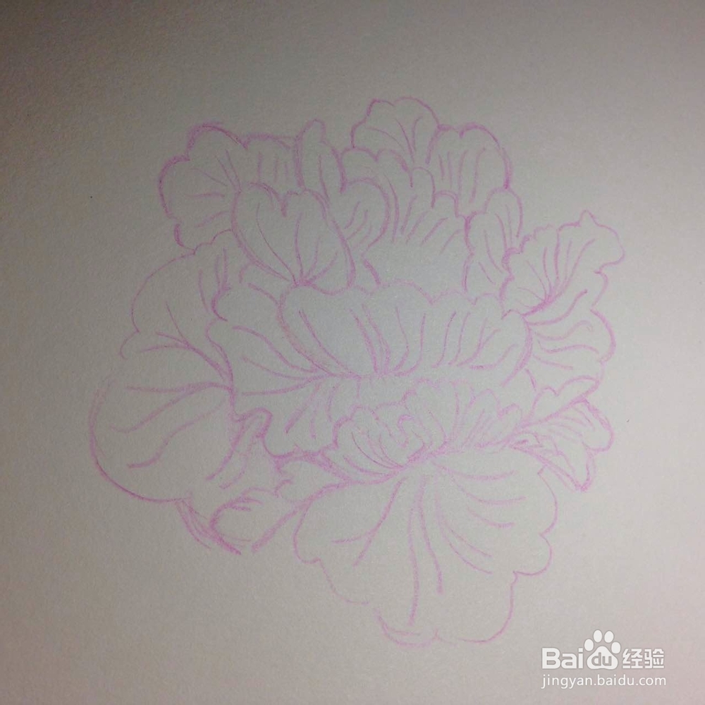 如何用彩色铅笔绘牡丹花