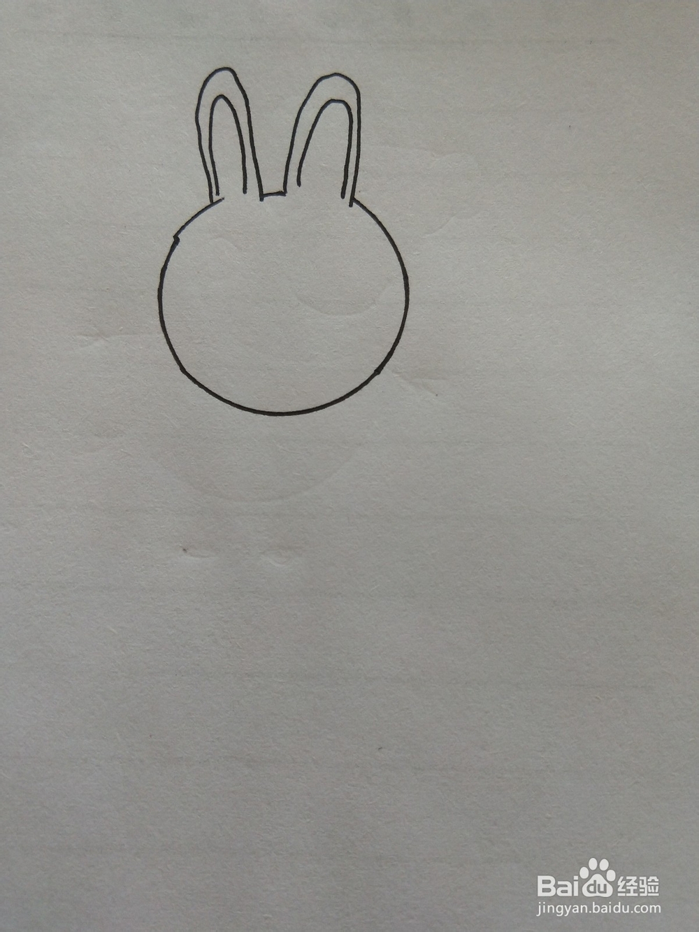 小兔子的简笔画这样画