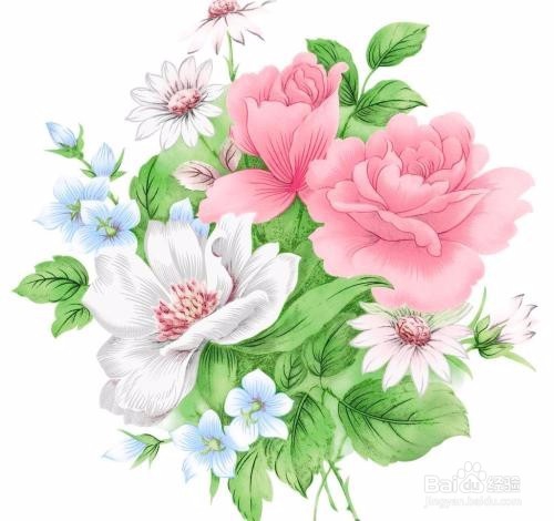 造成烂根,可待花和叶片轻度萎