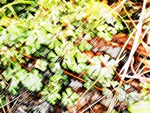 ps如何处理模糊照片