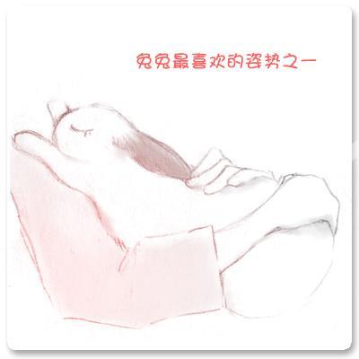 怎样以正确的姿势抱兔子