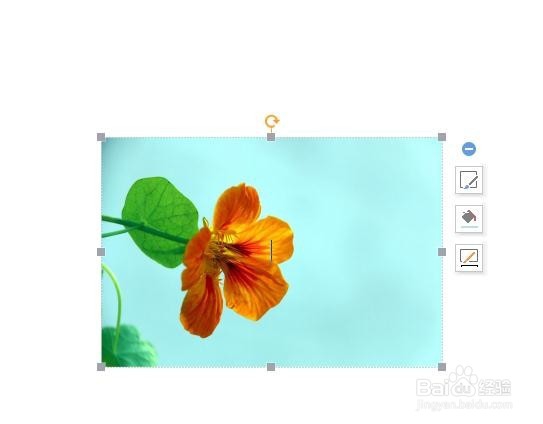 PPT中如何设置背景图片的透明度？