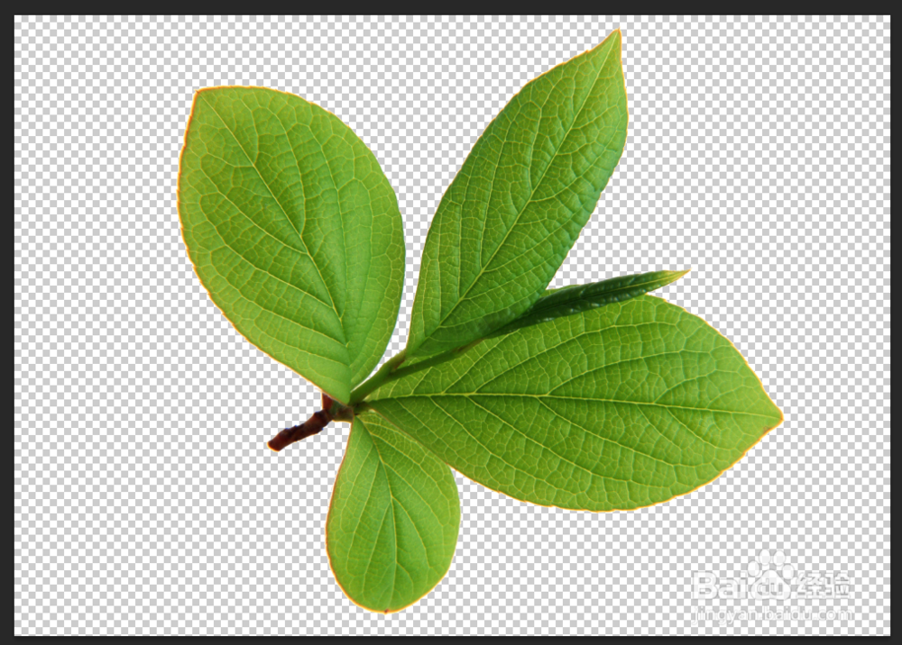 Photoshop——魔棒工具抠图