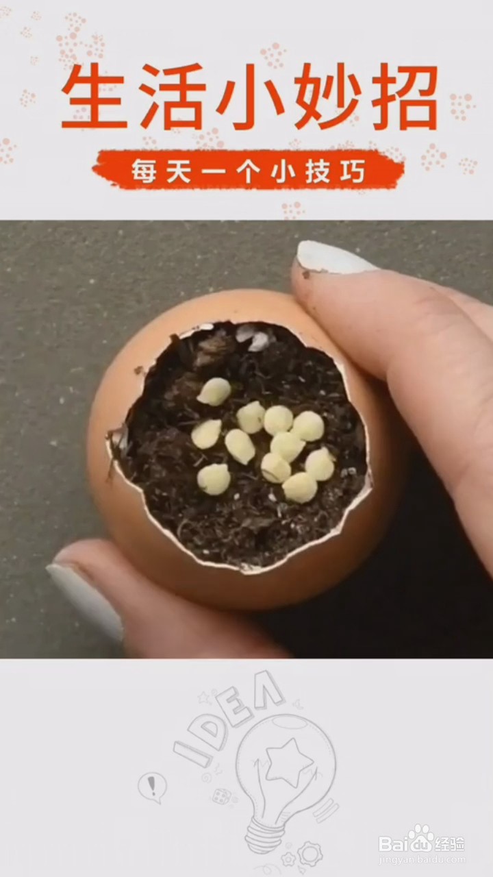 家庭种植小技巧