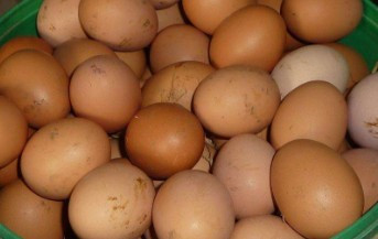 0 |更新: 2020-08-14 13:51 1 2 3 4 5 6 7分步阅读 西葫芦炒鸡蛋