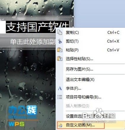 教大家这样让WPS演示中的文字闪烁