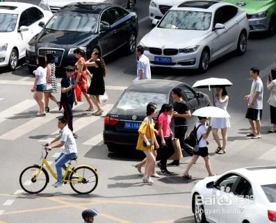 机动车怎么礼让行人