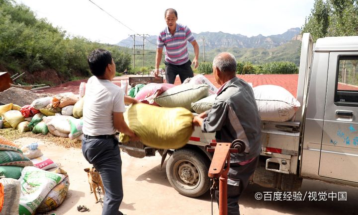 孕期、坐月子能吃酸枣吗