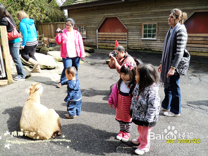 拾海的孩子&亲亲小动物(组图)