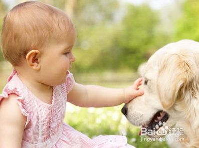 【宝贝】狂犬疫苗打了要注意些什么