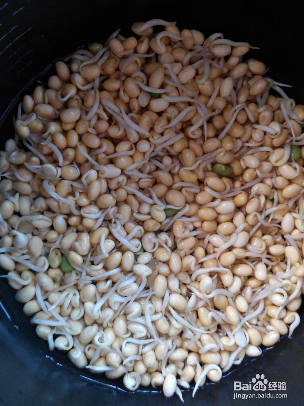 独家私房菜——酱豆鱼