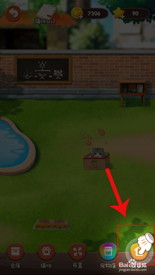 猫语咖啡怎么领养猫