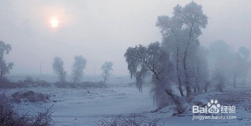 不同时段不同技巧拍雾凇仙境