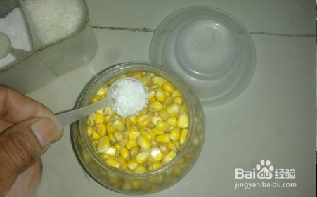 玉米钓鱼饵料做法