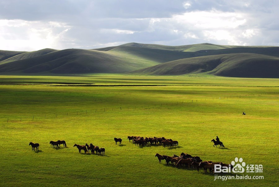 去呼伦贝尔旅游攻略