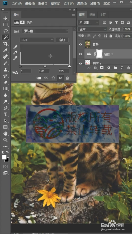 PS中如何差值去水印？
