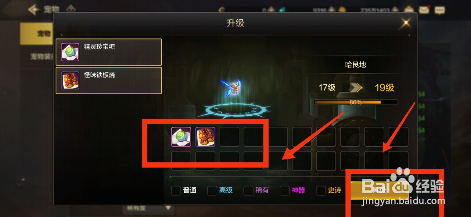 DNF手游给宠物升级的方法