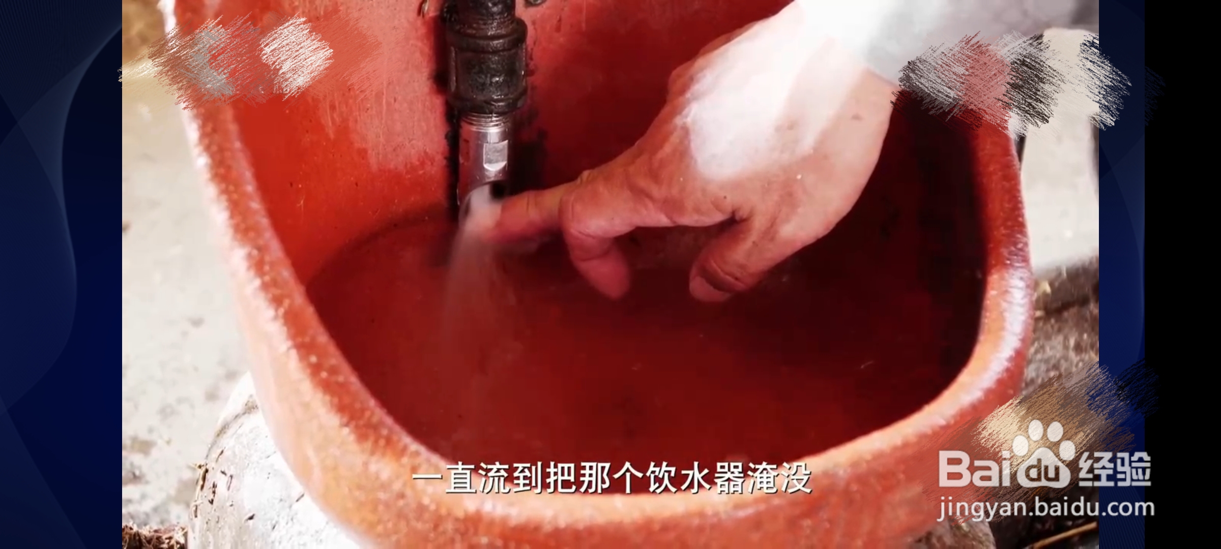 怎么养猪才能提高利润
