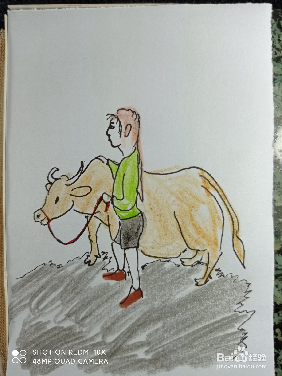 怎样画简笔画牵着牛的女孩?