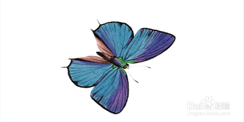 如何用美图秀秀将jpg格式图片转换成pnd格式图片